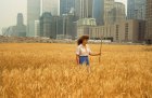 Agnes Denes walking through her installation Wheatfield – A Confrontation (1982) in the Battery Park landfill, New York.