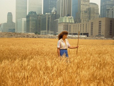 Agnes Denes walking through her installation Wheatfield – A Confrontation (1982) in the Battery Park landfill, New York.