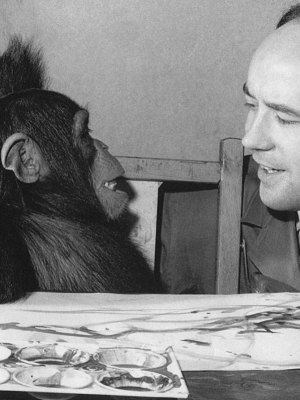 Congo with Desmond Morris in 1957.