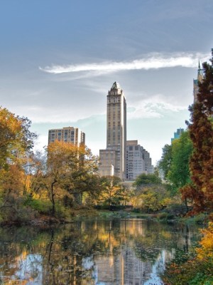 Central Park, New York
