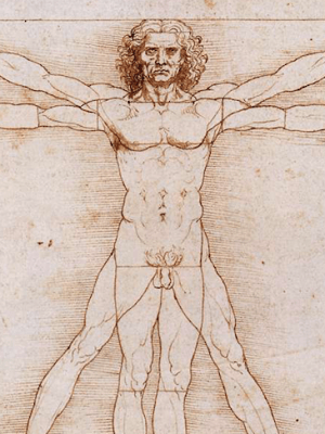 Vitruvian Man, Leonardo da Vinci, c. 1490, Gallerie dell'Accademia