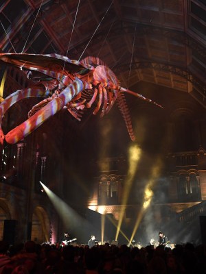 Coldplay Perform At The Natural History Museum