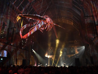 Coldplay Perform At The Natural History Museum