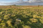 Carrawburgh Roman Fort.