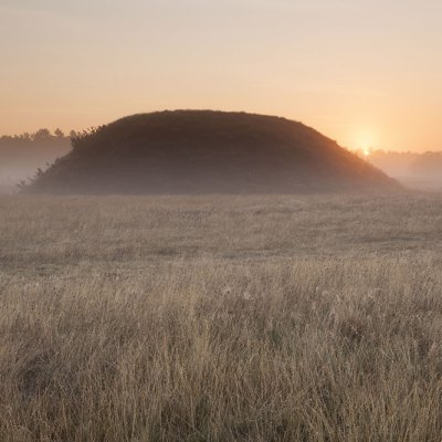 Mound Two at Sutton Hoo.