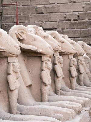 Sandstone ram-headed sphinxes (reign of Ramesses II; c. 1250 BC), from the first court in the Temple of Karnak in modern Luxor. Four of these sphinxes have now been taken to Cairo (photo: January 2020). Photo: © Ivar Sviestins