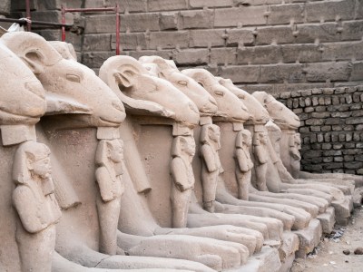 Sandstone ram-headed sphinxes (reign of Ramesses II; c. 1250 BC), from the first court in the Temple of Karnak in modern Luxor. Four of these sphinxes have now been taken to Cairo (photo: January 2020). Photo: © Ivar Sviestins