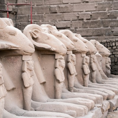 Sandstone ram-headed sphinxes (reign of Ramesses II; c. 1250 BC), from the first court in the Temple of Karnak in modern Luxor. Four of these sphinxes have now been taken to Cairo (photo: January 2020). Photo: © Ivar Sviestins