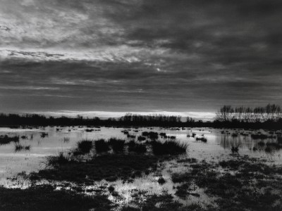 The Somerset levels at dusk (1998), Don McCullin. Courtesy the artist and Hauser & Wirth; © Don McCullin