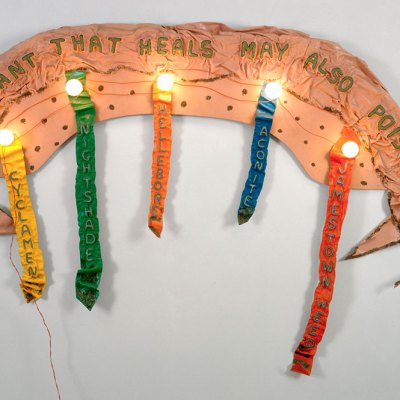 The Plant that Heals May Also Poison (1974), Ree Morton.
