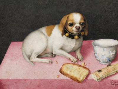 Lapdog with Biscotti and a Chinese Cup (c. 1648), Giovanna Garzoni. Gallerie degli Uffizi, Florence
