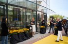 Emilie Gordenker outside the Van Gogh Museum in Amsterdam on 1 June, when the museum reopened.