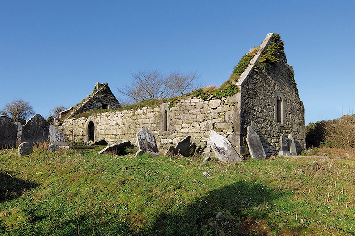 Celtic revival? Recording Ireland’s historic buildings