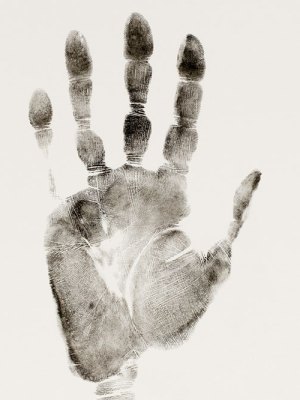 2330 grammi (detail; 1994), Giuseppe Penone.