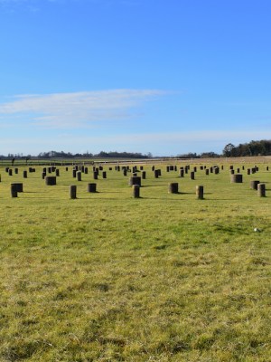 The site of Woodhenge near the Durrington Walls in Wiltshire, at the centre of the proposed Durrington Shafts pit-circle.