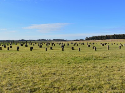 The site of Woodhenge near the Durrington Walls in Wiltshire, at the centre of the proposed Durrington Shafts pit-circle.