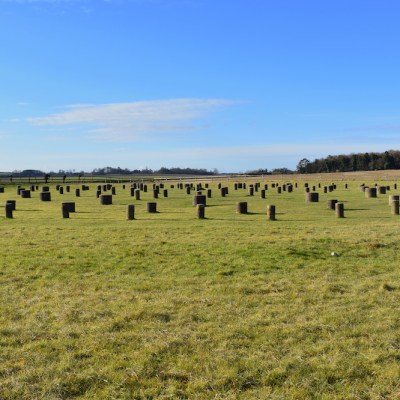 The site of Woodhenge near the Durrington Walls in Wiltshire, at the centre of the proposed Durrington Shafts pit-circle.
