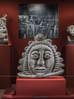 Part of the ‘Barbus Müller’ group, photographed at the Musée Barbier-Mueller, Geneva, in 2020.