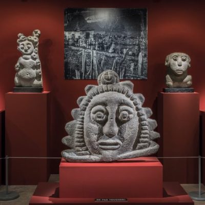 Part of the ‘Barbus Müller’ group, photographed at the Musée Barbier-Mueller, Geneva, in 2020.