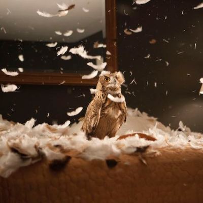 migration (empire) (video still; 2008) Doug Aitken.