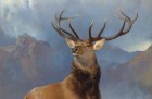 The Monarch of the Glen (detail; c. 1851), Edwin Landseer