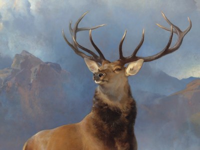 The Monarch of the Glen (detail; c. 1851), Edwin Landseer