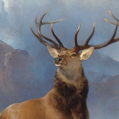 The Monarch of the Glen (detail; c. 1851), Edwin Landseer