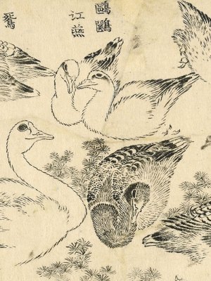 Water Birds (1829), Katsushika Hokusai.