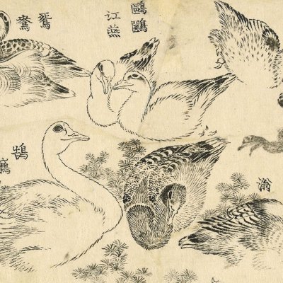 Water Birds (1829), Katsushika Hokusai.