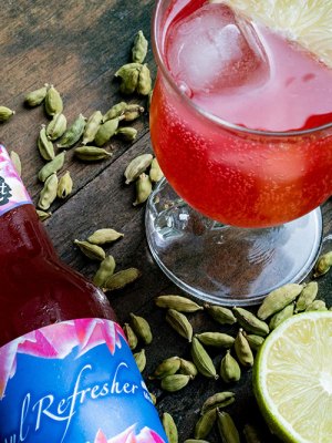 Soul Refresher (Mountain Rose Soda) (2020), Abbas Zahedi.