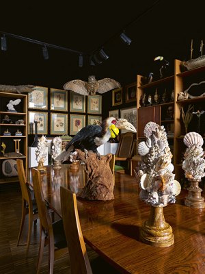 Thomas Olbricht’s Wunderkammer.