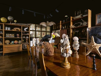 Thomas Olbricht’s Wunderkammer.