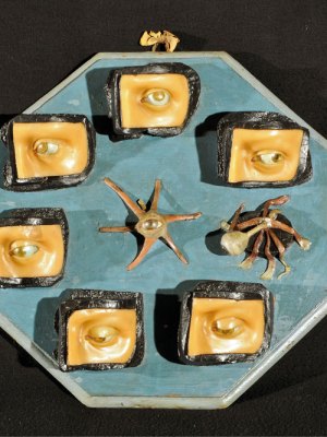 Anatomical models of the eye and its extrinsic muscles, c. 1755–69, Anna Morandi. Museo di Palazzo Poggi, Bologna