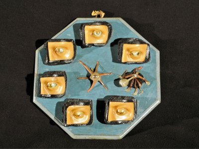 Anatomical models of the eye and its extrinsic muscles, c. 1755–69, Anna Morandi. Museo di Palazzo Poggi, Bologna