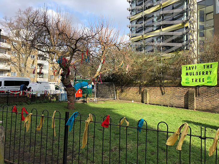 The Bethnal Green Mulberry Tree - Whitechapel Gallery