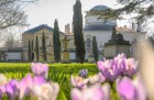 Chiswick House, from the gardens