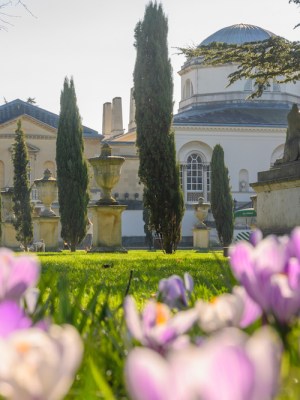Chiswick House, from the gardens