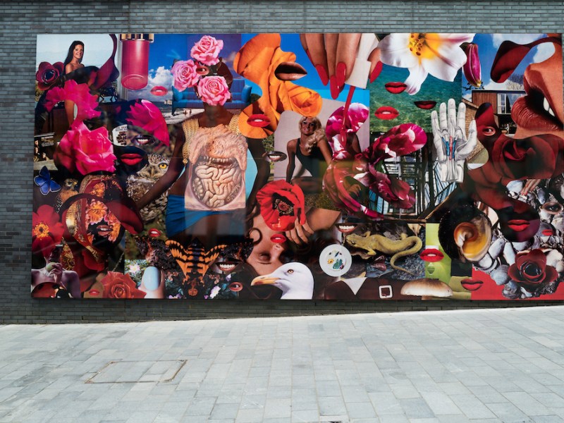 Bower of Bliss (2021), Linder.