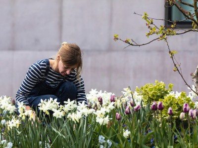 Gardener Katy Merrington at the Hepworth Wakefield.