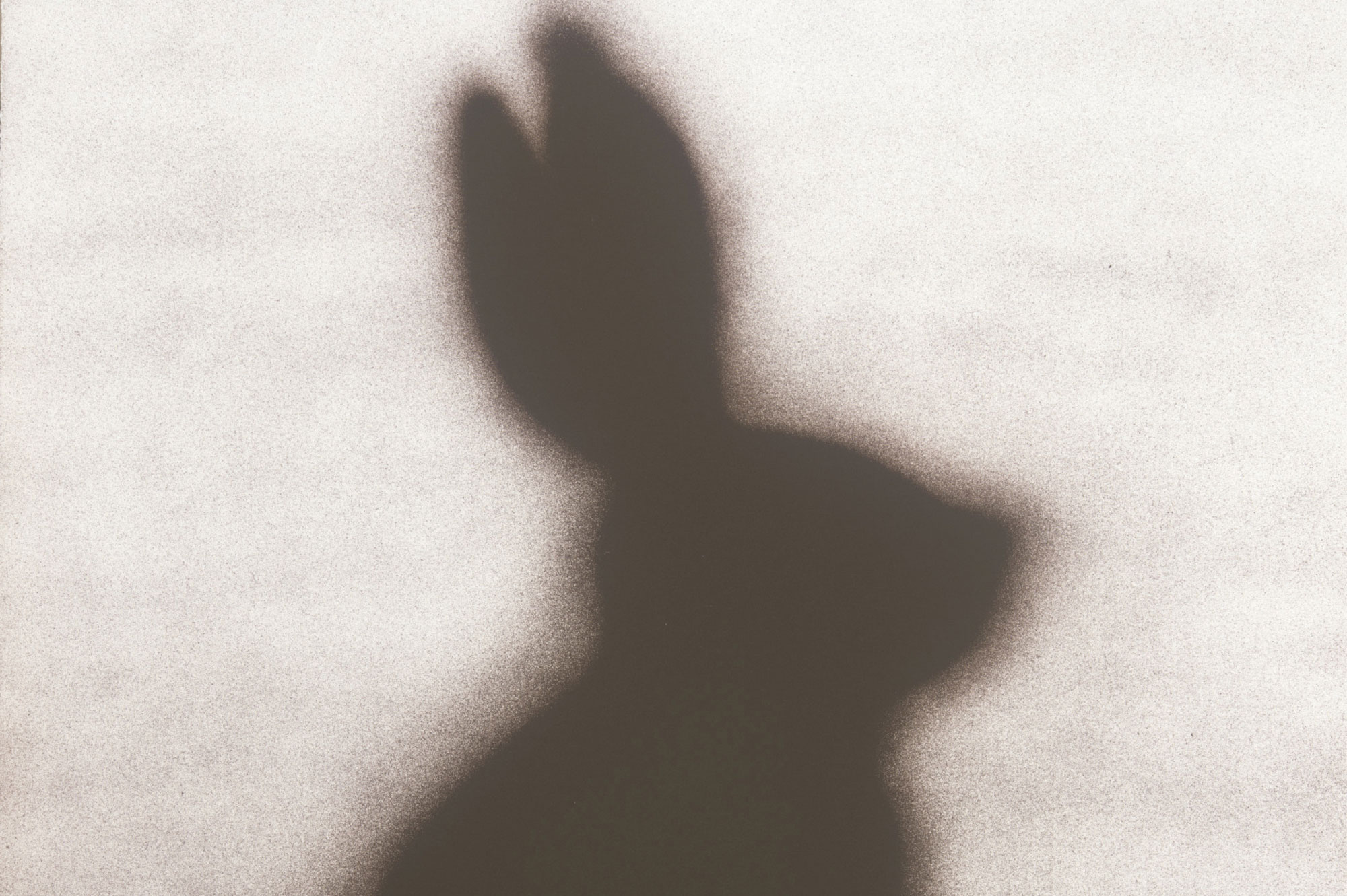 Down the rabbit hole at LACMA