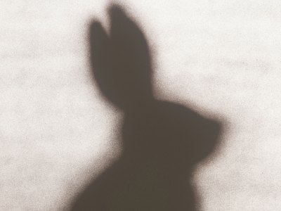 Rabbit (1986), Edward Ruscha. Los Angeles County Museum of Art