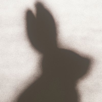 Rabbit (1986), Edward Ruscha. Los Angeles County Museum of Art
