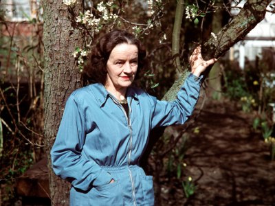 Barbara Hepworth in 1957.