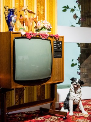 Michael McMillan’s ‘Front Room 1976’.