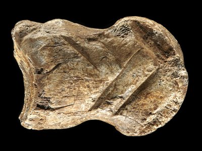 Bone age: the engraved phalanx from Einhornhöhle.