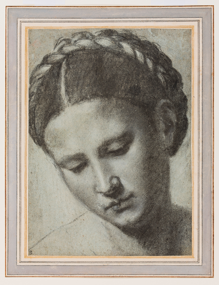 A woman’s head with braided hair (16th century), Alessandro Bonvicino, called Moretto da Brescia.