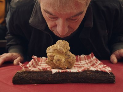 Funghi business: still from The Truffle Hunters (2020; dir. Michael Dweck and Gregory Kershaw).