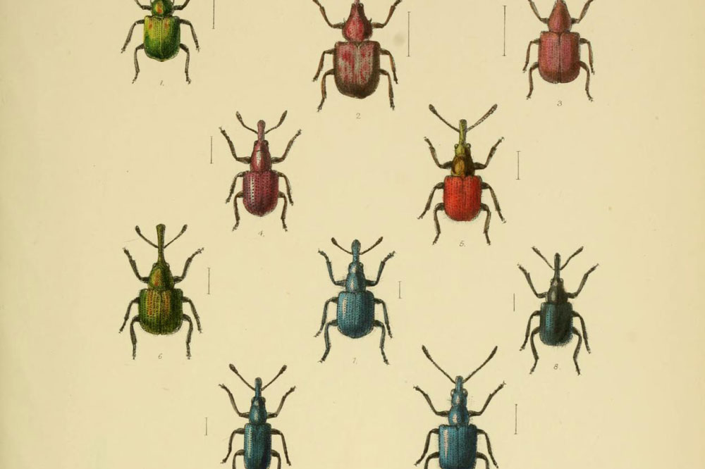 This colour chart of nature is completely mad – and utterly beguiling