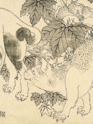 ‘Cats and hibiscus’, from the Great Picture Book of Everything (1820s–40s), Katsushika Hokusai.