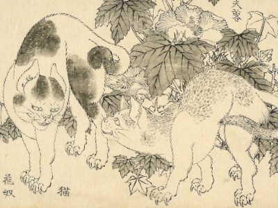 ‘Cats and hibiscus’, from the Great Picture Book of Everything (1820s–40s), Katsushika Hokusai.